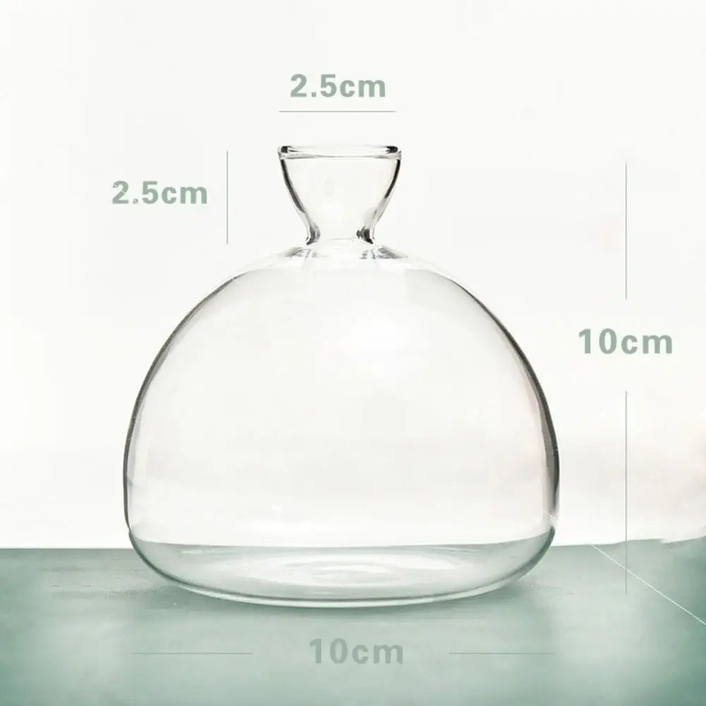 dome glass propagation vase, reference photo