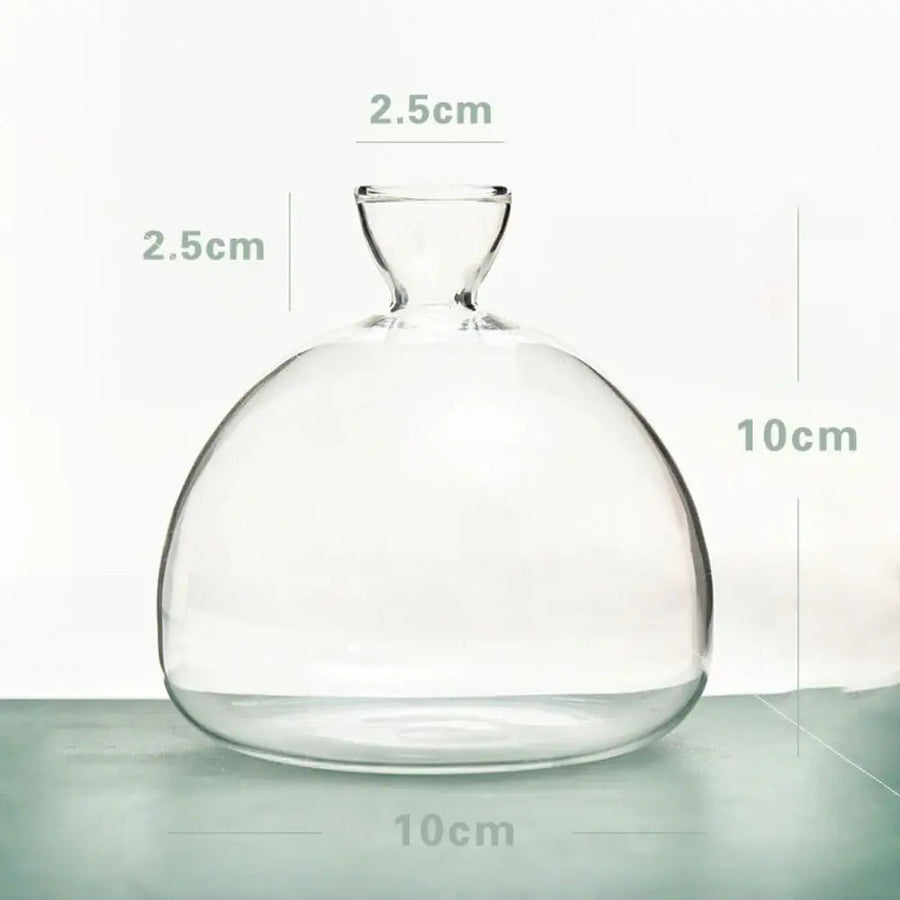 dome glass propagation vase, reference photo